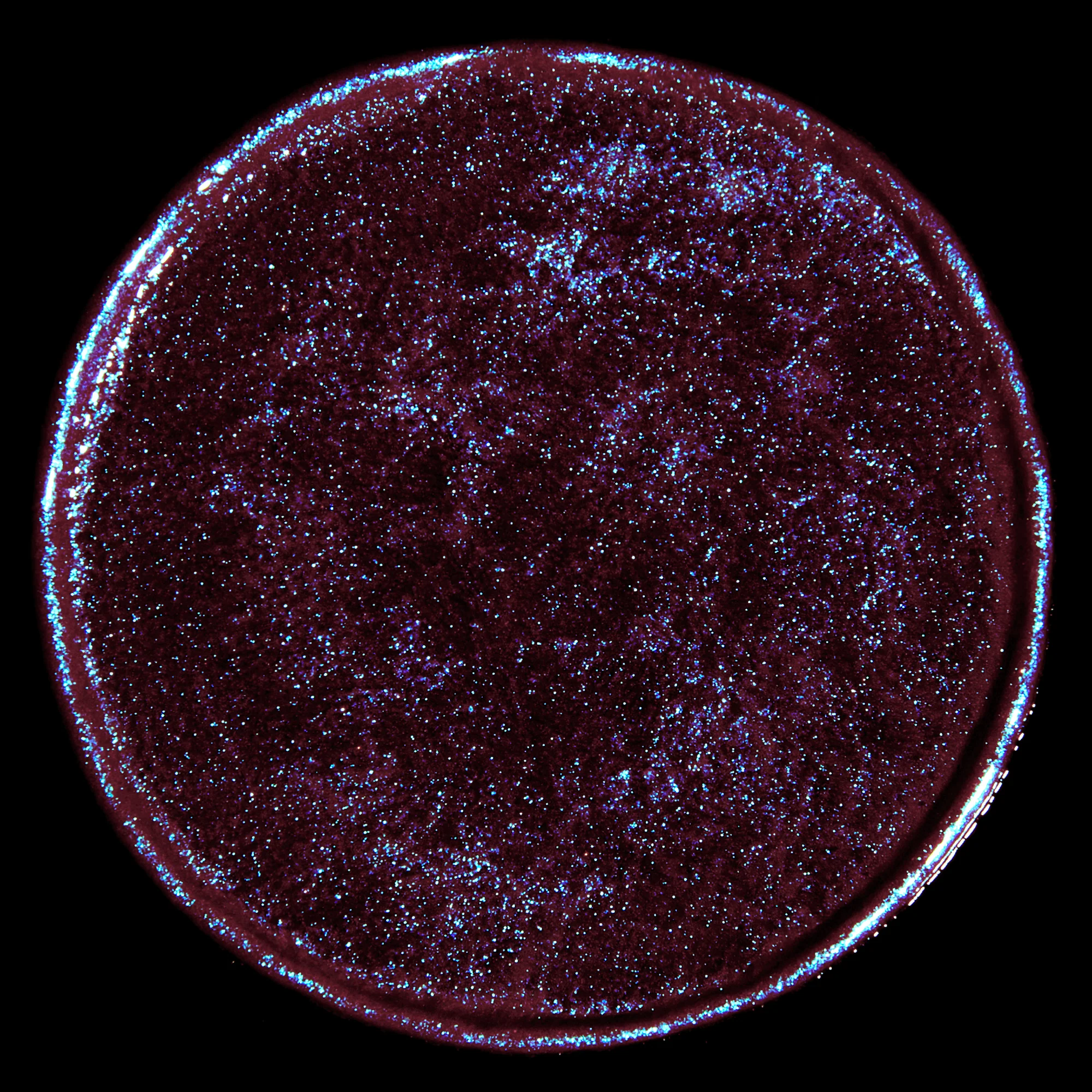 Celestial Sphere Gelée Eye Gloss: Volans (Classic) - Image 2