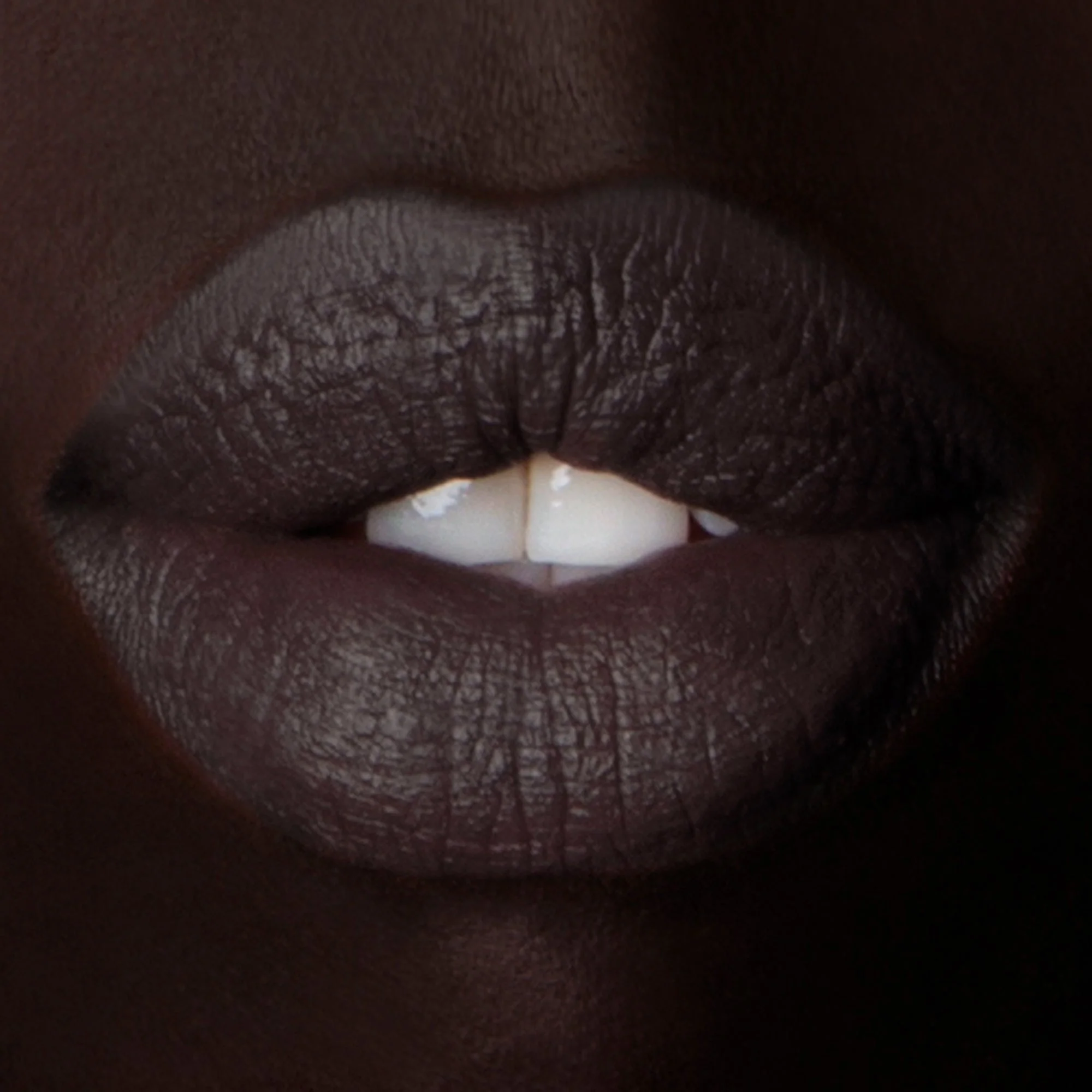 Color Set: Black Locust + Black Thorn - Image 5