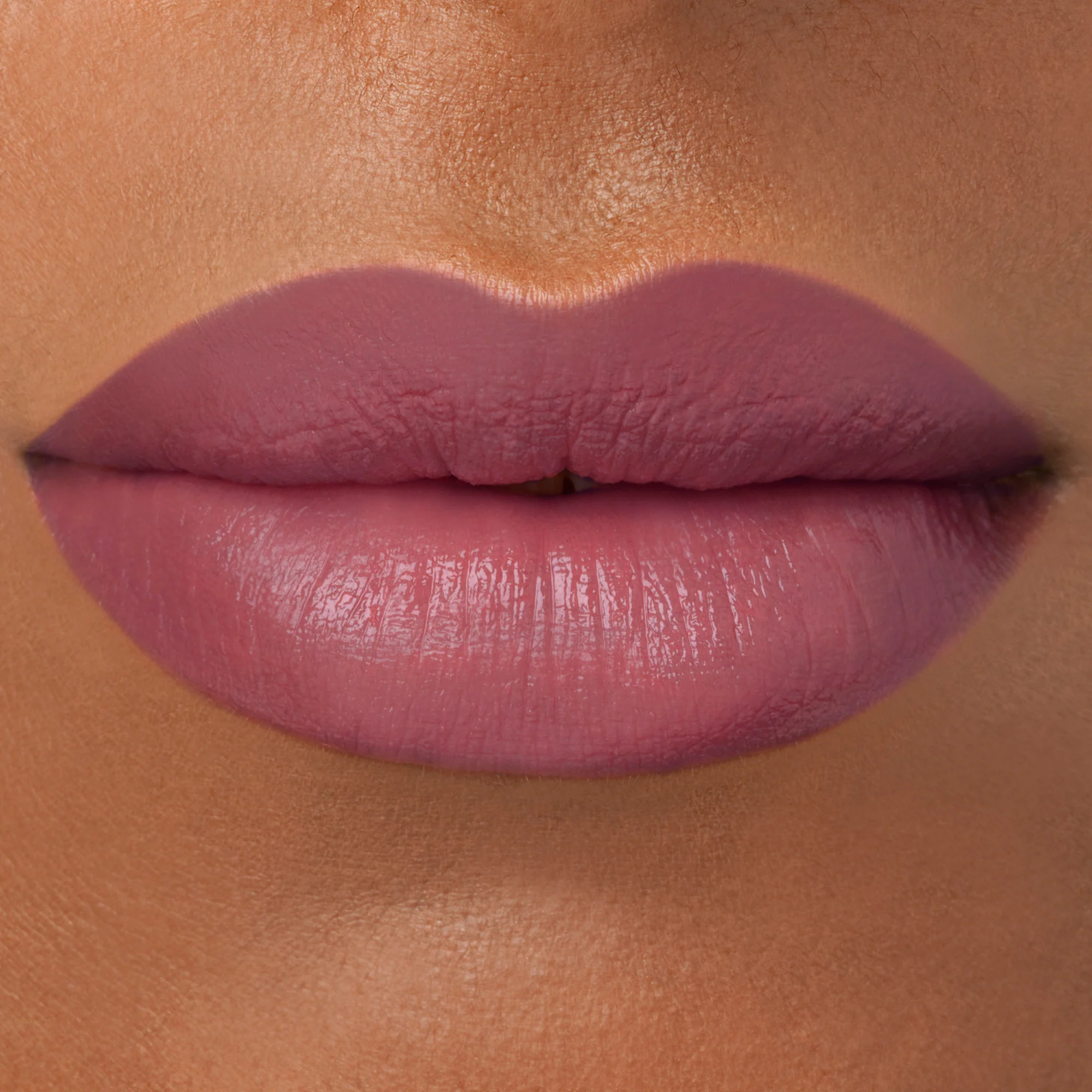 Color Set: Eventide - Image 7