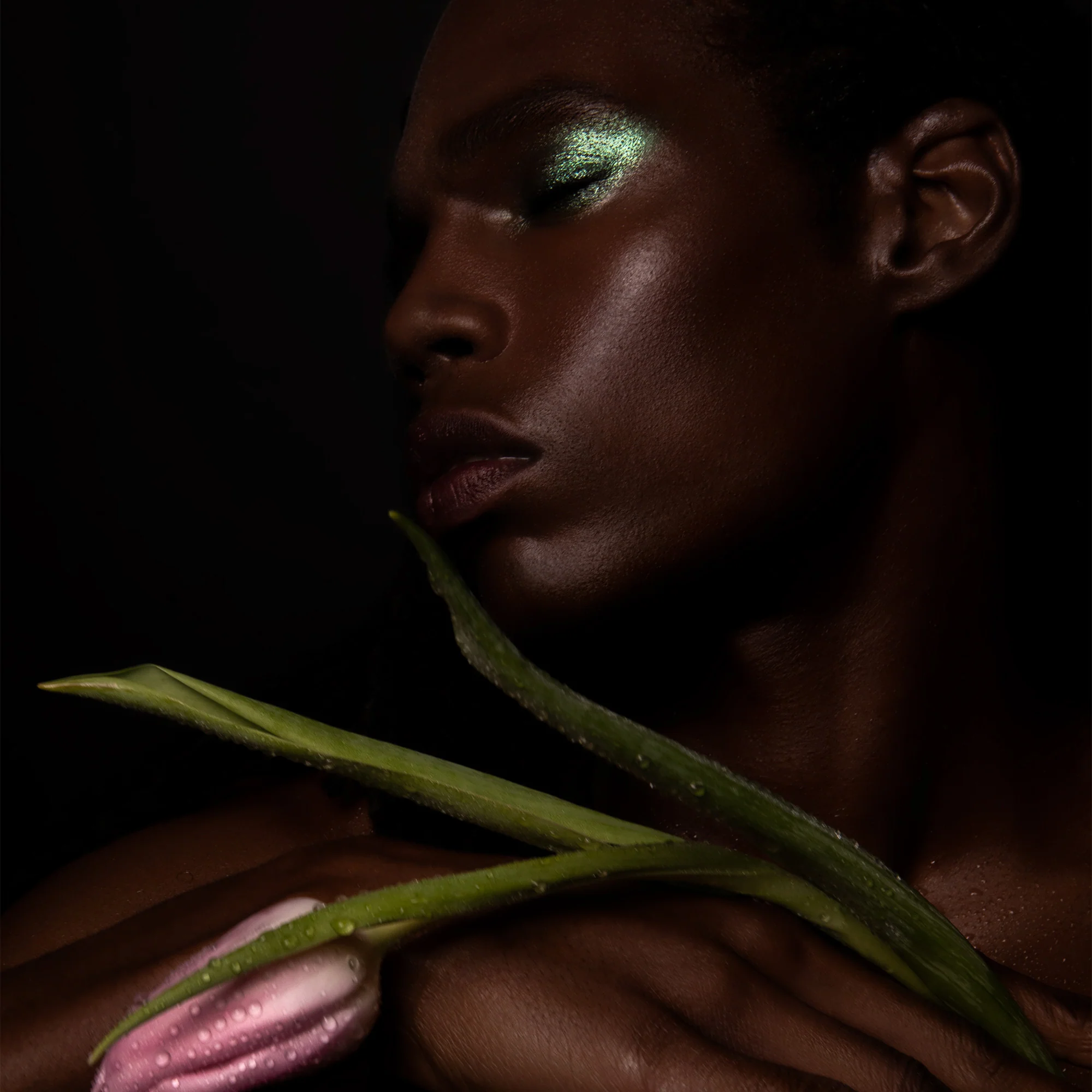 Color Set: The Meadow - 3 Shades - Image 9