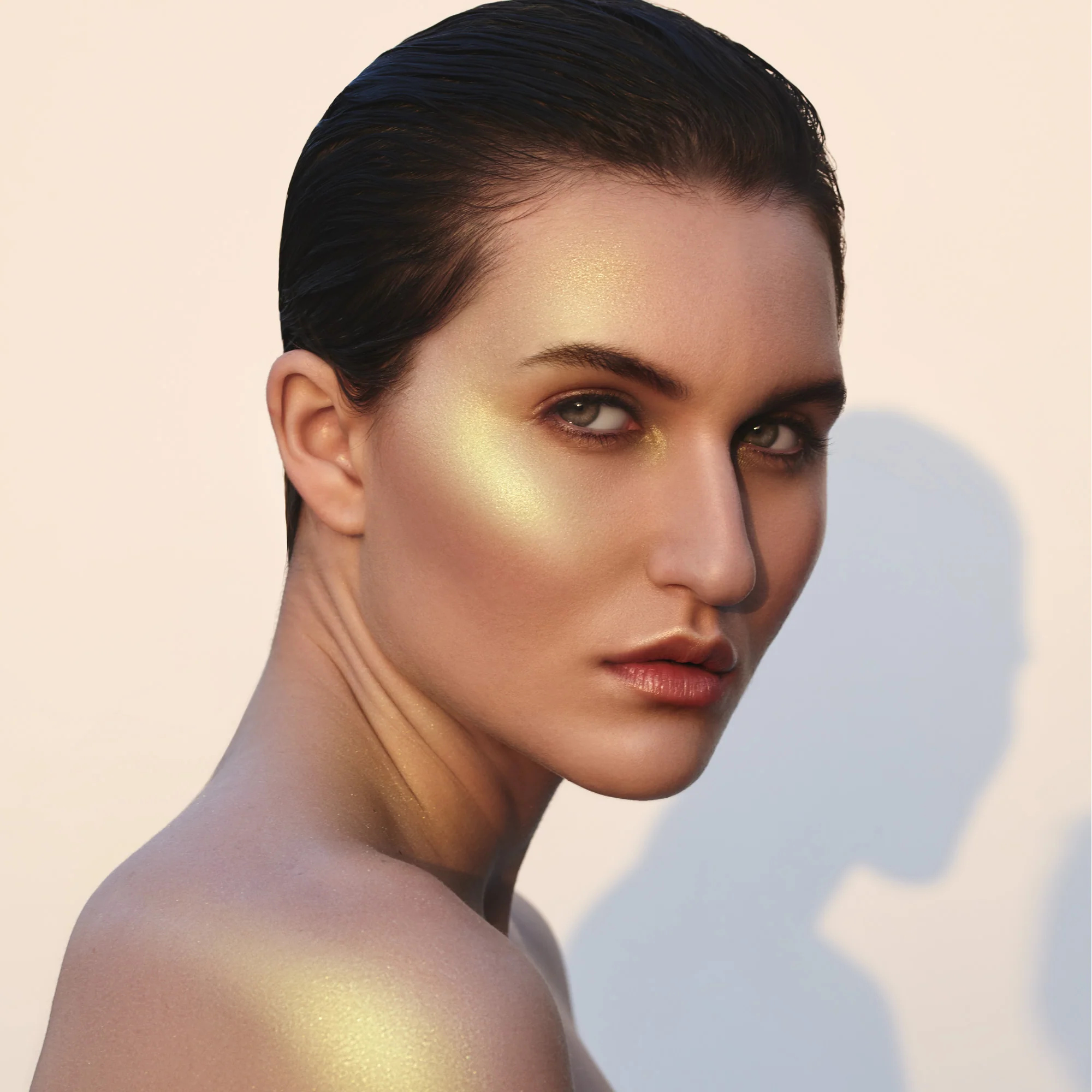 Metamorphic Highlighter: The Chimera - Image 8